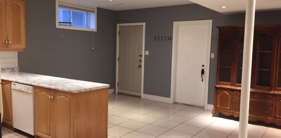 Spacious One Bedroom Basement Apartment with Separate Entrance - Photo 2