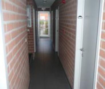 Brildam 8 - Photo 2