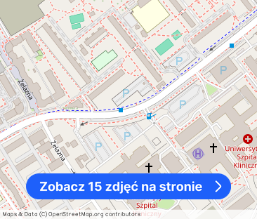 Mieszkanie w kamienicy przy parku - Zdjęcie 1