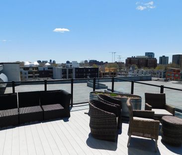 FOR RENT – 5662 Roberts Street, Suite 219, Halifax, Nova Scotia - Photo 3