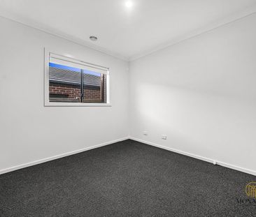Modern Family Home in Donnybrook - Photo 4