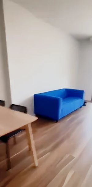 288 Wattle St, Sydney - Photo 1