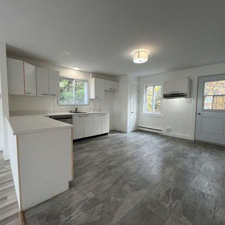 Beau grand 4 et demi lumineux et tranquille - Photo 4