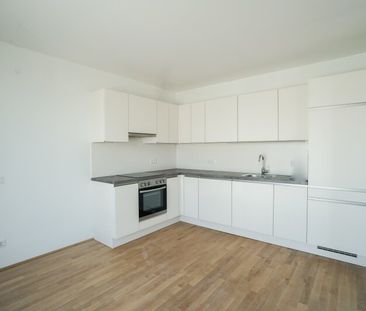 Familienwohnung in Ruhelage direkt beim Kirschblütenpark - Photo 5