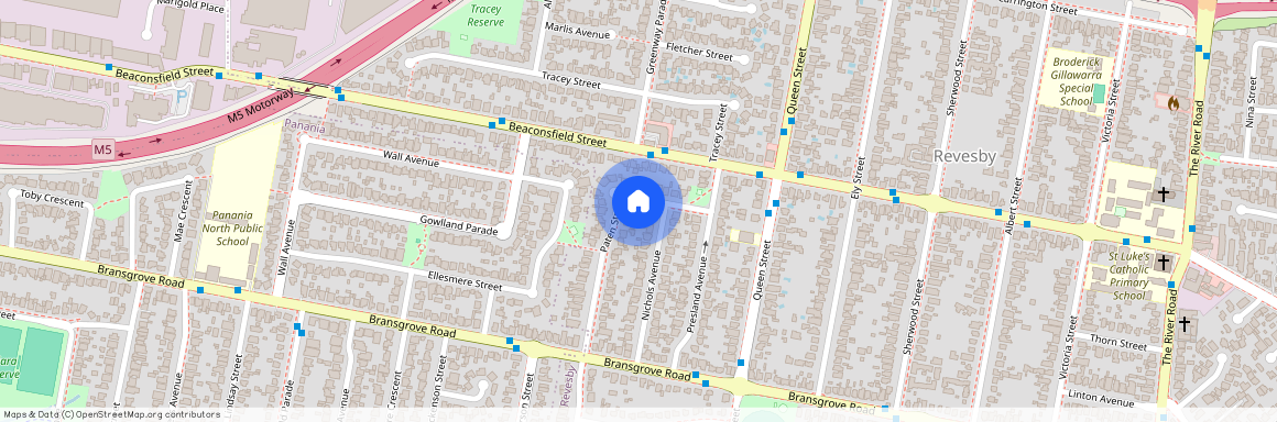 60 Paten Street, NSW 2212, Revesby