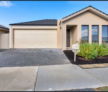 52 Delta Road, Baldivis WA 6171 - House For Rent | Domain - Photo 4