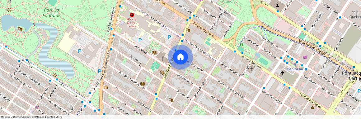 1950 Rue Alexandre-DeSève, app.9, H2L 2W3, H2L 2W3, Montréal