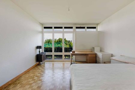 APPARTEMENT 7 PIECES VUE LAC - Foto 4