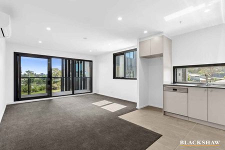 Brand New One Bedroom Apartment in, Watson - Photo 4