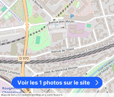 AV DE L OASIS - Photo 1