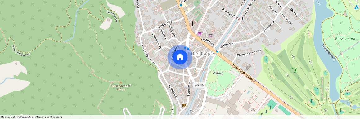 7310, Bad Ragaz, Am Platz, 6