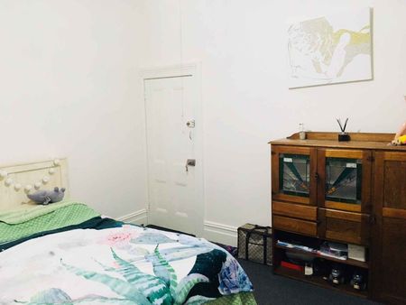 2/278 Enmore Road Enmore - Photo 3