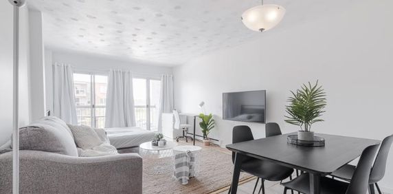 Loft entièrement meublé à louer Sainte-Foy / Sillery décembre 2025 - Photo 2