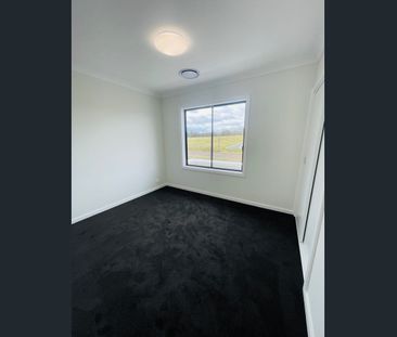 Modern Home in Rouse Hill - Photo 1