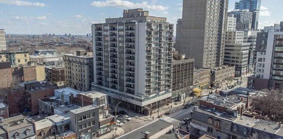 1 CH - 1 SDB - Montréal - $1,600 /mo - Photo 2