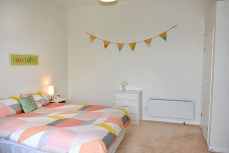 Super sunny, warm and modern family home in Roslyn - Photo 3