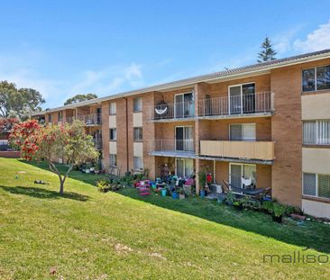 29/4 Southend Road, Hamilton Hill, WA 6163 - Photo 4