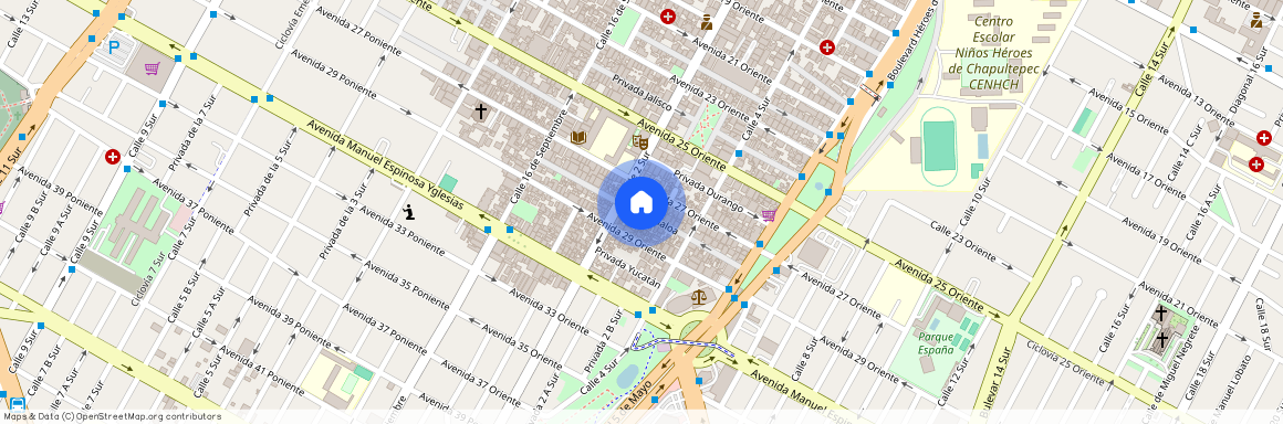 Priv. Sinaloa, Colonia El Carmen, C.P. 72530, Puebla