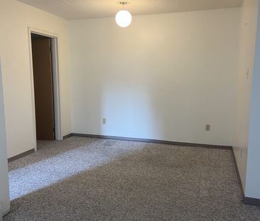 Spacious 1 Bedroom Rental in The Unique Historic Down Town Building... - Photo 3