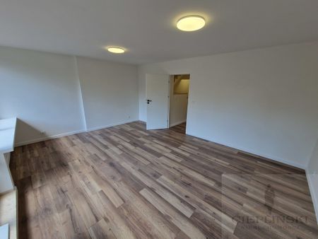 Dom na wynajem Pogodno - 7 pokoi - Zdjęcie 2