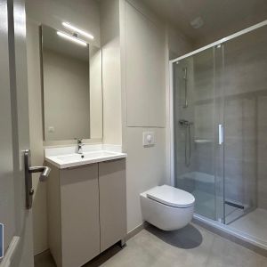 Location Appartement 1 pièce 21m² DOLE 39100 - Photo 2