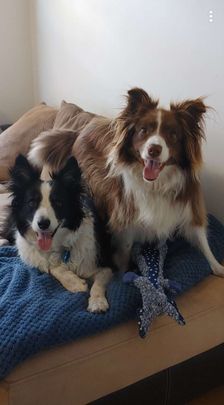 Forrestfield - Photo 1