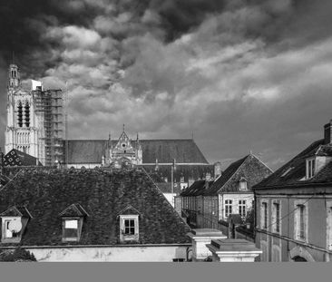 Location Appartement 2 pièces 29m² SENS 89100 - Photo 4