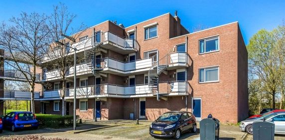 Terneuzenstraat 0ong, 6845 Arnhem, Nederland - Foto 2