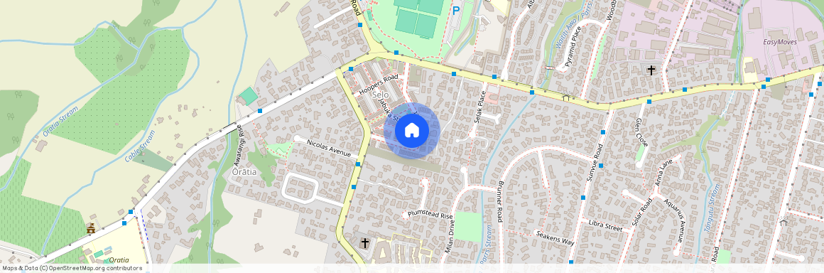 50 Selo Street, Glen Eden, Waitakere City