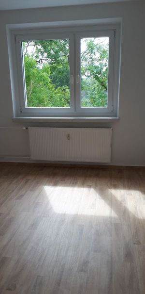 frisch komplexrenovierte 3- Raum in Velgast! - Foto 1