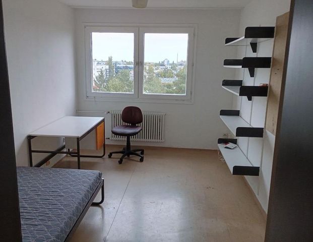 Möbliertes Zimmer in Berlin-Lankwitz sofort verfügbar - Foto 1