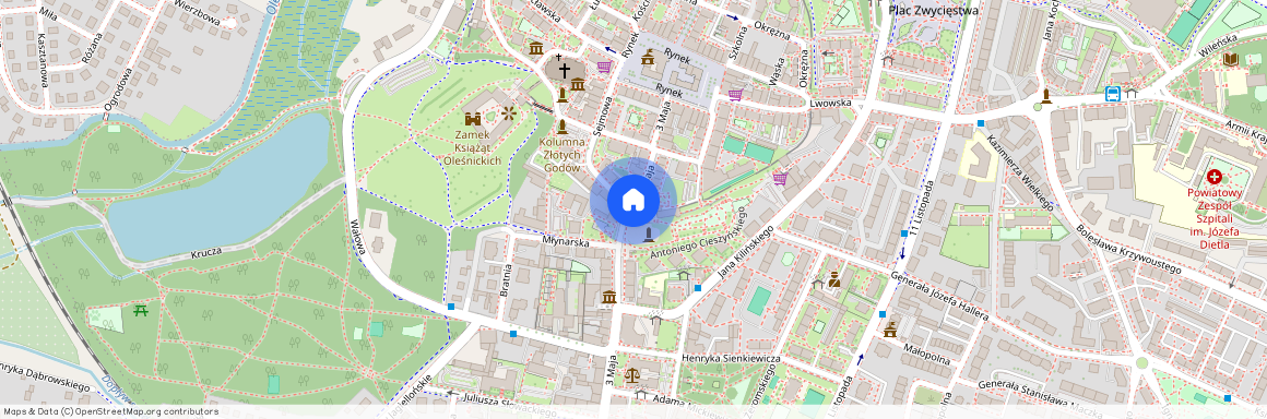 3 Maja 61, Oleśnicki (pow.), Oleśnica