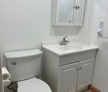 For Lease - 562 Skinner Avenue Unit# Lower, Newmarket, Ontario - Photo 5