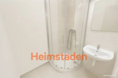 Pronájem bytu 2+1 55 m - Fotografie 4