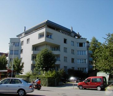 2.5 Zimmer, EG - Photo 6