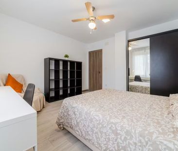 Carrer d'Alberic, Valencia, Valencian Community 46008 - Photo 4