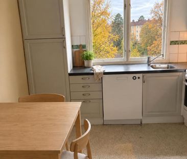 Floragatan, Flen - Photo 4