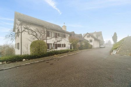 Charmante Wohnung in Witikon mieten - Photo 3