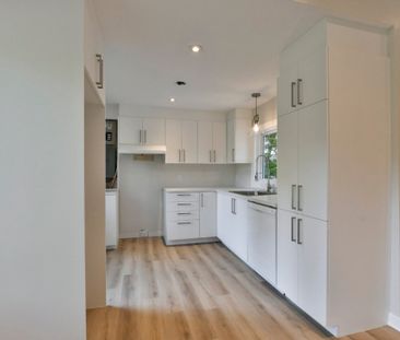 230 Rue du Lac-à-l'Anguille, J8A 1R2, J8A 1R2, Saint - Photo 4