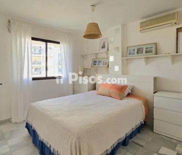 Apartamento en alquiler en Avenida de la Puerta del Mar, 4 - Photo 4