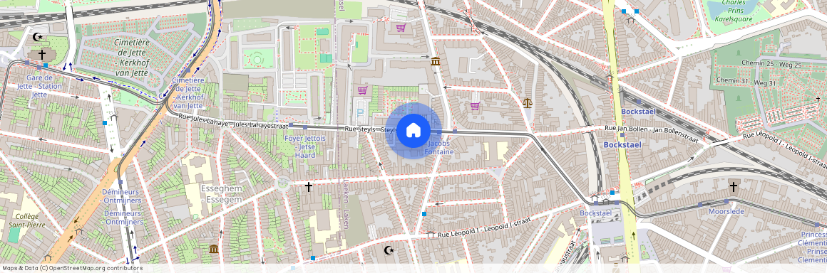 Rue Steyls 82, 1020 Laeken