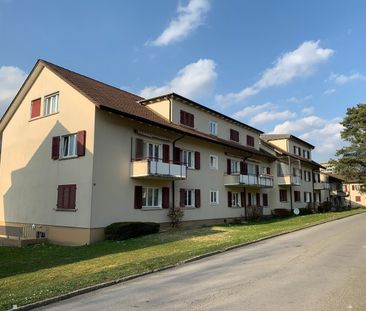 3.5 Zimmer, EG - Photo 6