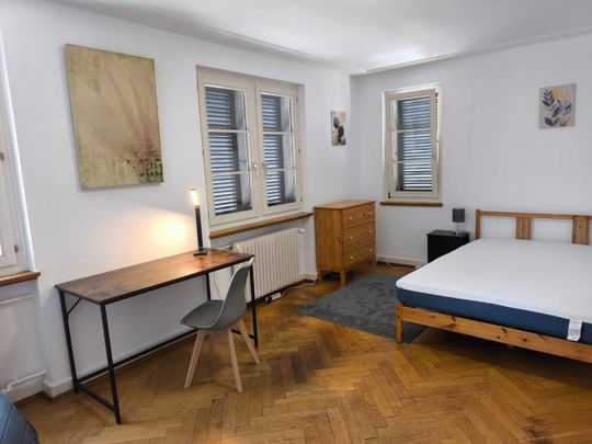 AMICASA AG: Furnished rooms centrally located in Schaffhausen near the train station and old town - Photo 1