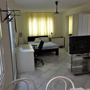 ONE-ROOM APARTMENT IN THÖRISHAUS (BE), FURNISHED - Foto 2