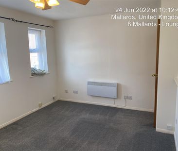 1 Bedroom Flat - Photo 4