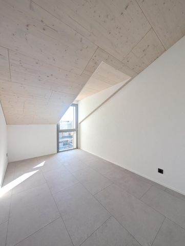 New construction in Denens - 3.5 room apartment - Photo 5