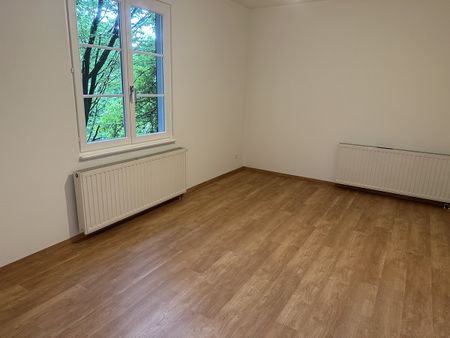 Sehr schöne und helle 3,5-Zimmer-Wohnung in wunderschönem Altbau in Hohenems - Photo 4