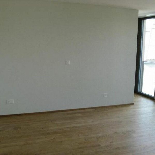 Spezielle 4 1/2-Zimmer-Wohnung mit schöner Terrasse - Foto 1