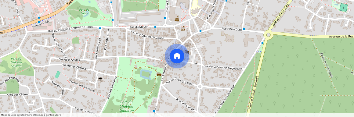 DAMMARIE LES LYS (77190)