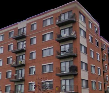 4 1/2 à louer à Brossard #507 - Photo 1
